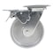 Vestil Cast Iron/Steel Swivel With Total Brake Caster 6 In. Diameter x 2 In. Width 1540 lb Silver CST-VE-6X2CI-SWTB - alternate 7